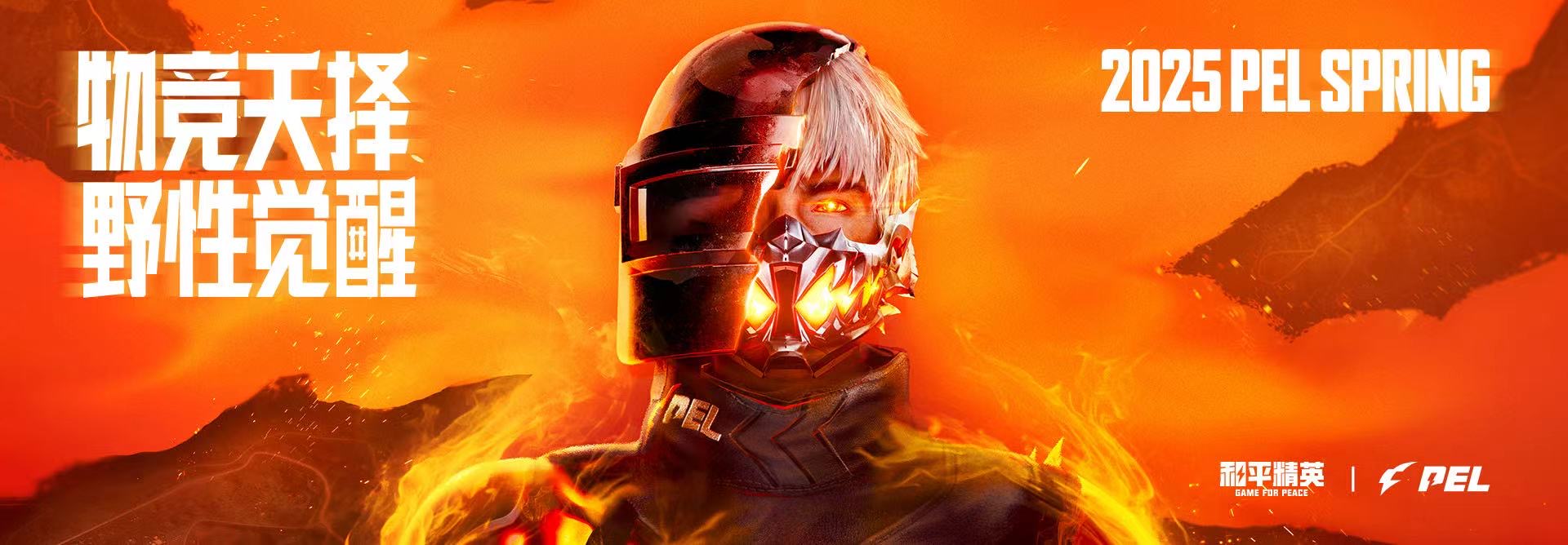 和平精英辅助【保时捷】